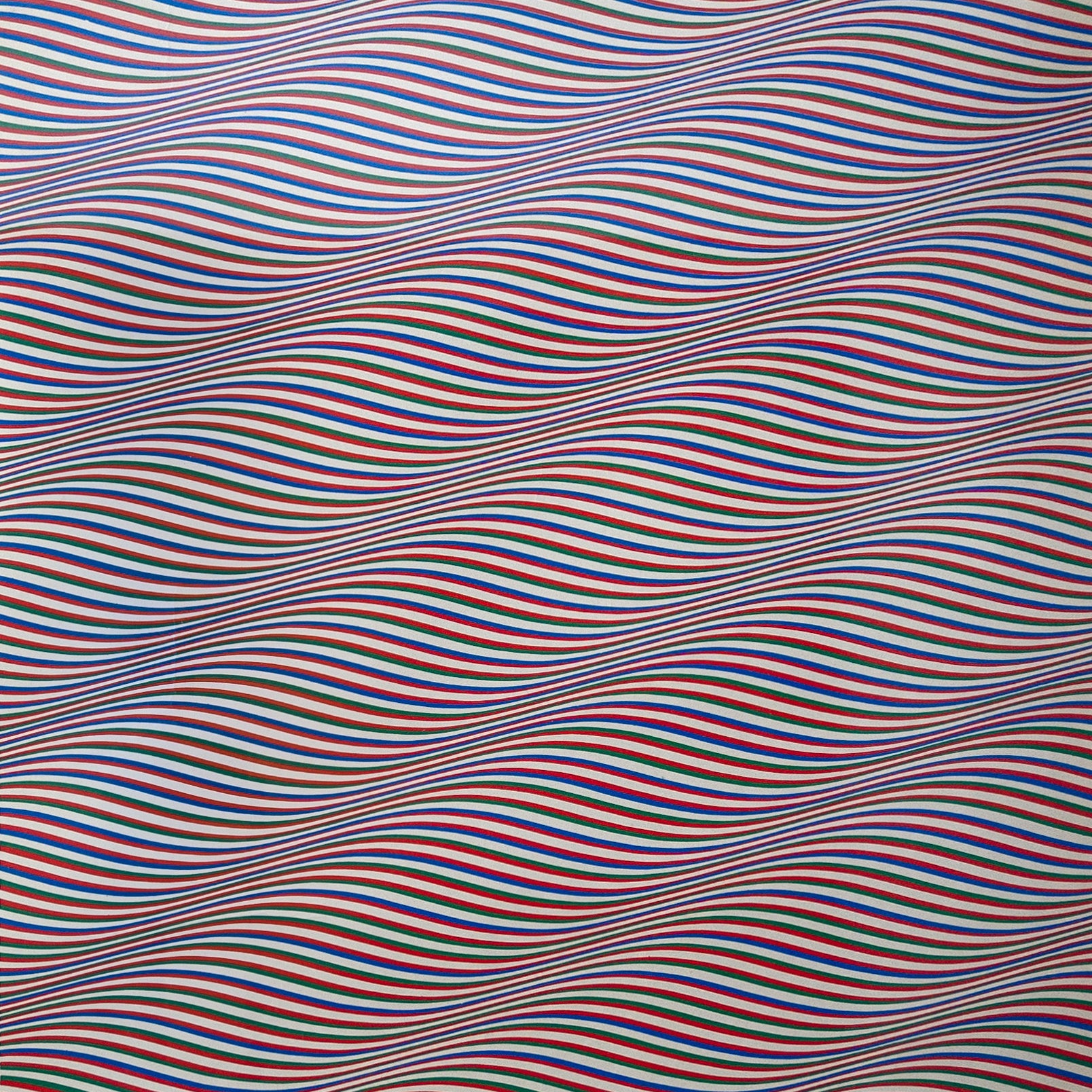 Bridget riley 2024